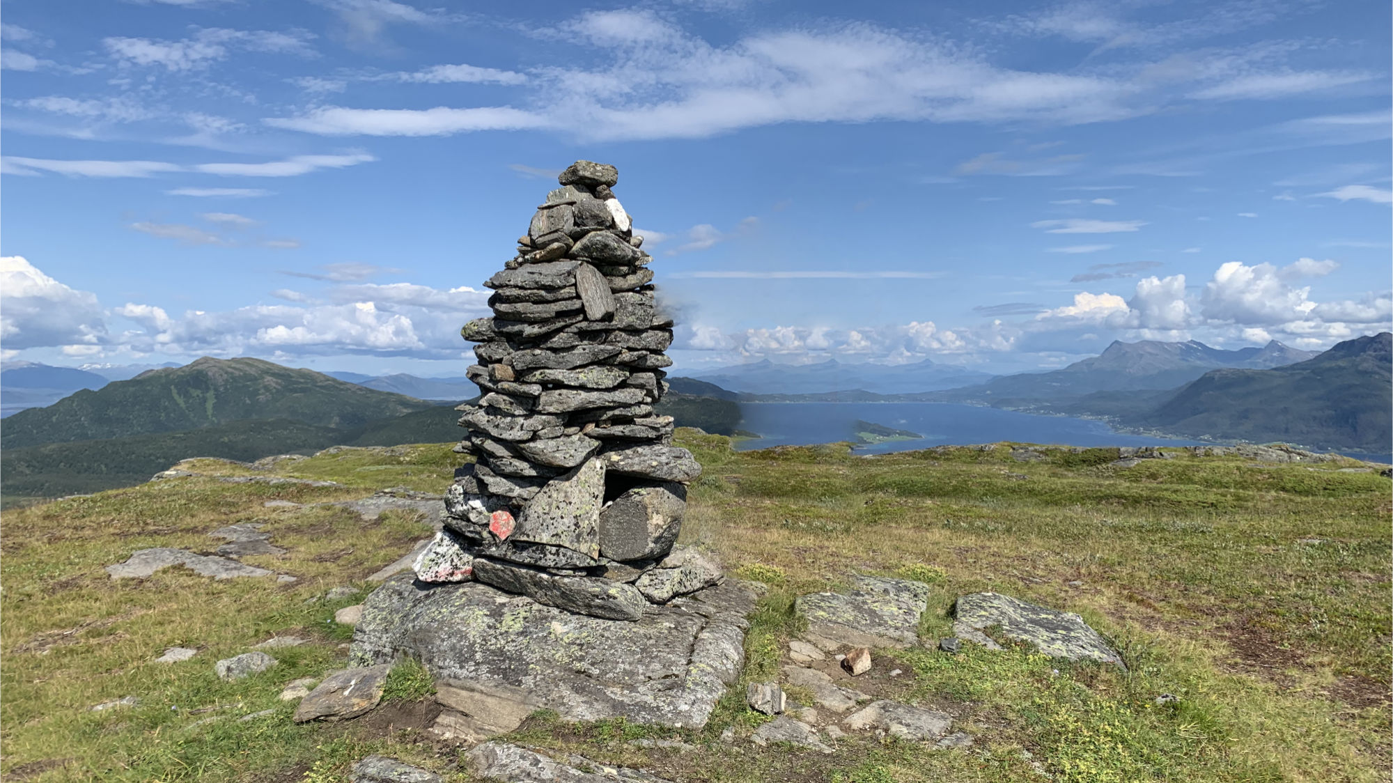 Dyrøygommen
